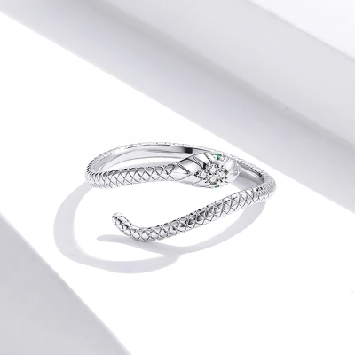 Stříbrný prsten Graceful Snake, stříbro 925/1000, had