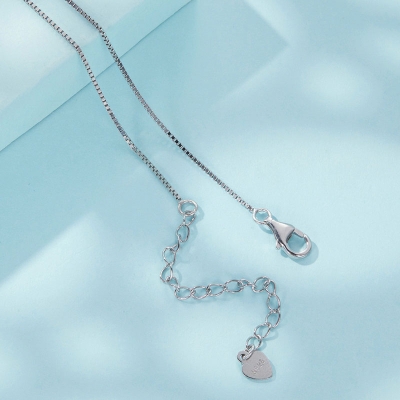 Stříbrný náhrdelník se zirkonem Lenochod - stříbro 925/1000