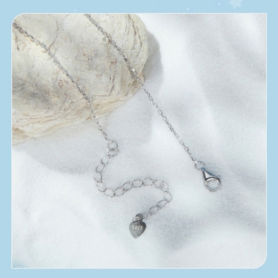 Stříbrný náhrdelník Ledové kouzlo - stříbro 925/1000
